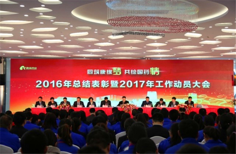 同筑九游会梦 共绘国药情——九游会药业举行2016年总结表彰暨2017年工作动员大会